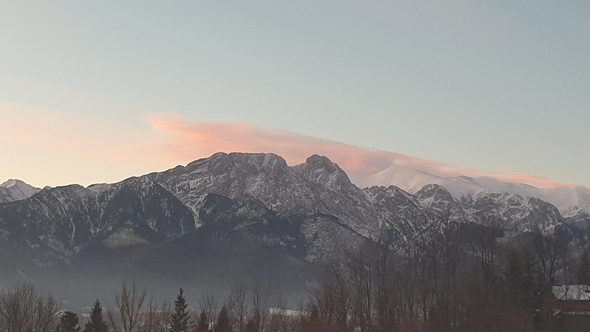 Villa Fortuna - Regionalne Apartamenty & Spa - Sauna, Grill, Jacuzzi Z Widokiem Na Tatry Zakopane Værelse billede